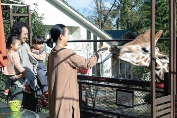 動物園×グランピングのTHE BAMBOO FORESTが大好評の「キリンと朝食オプション」を4月よりスタート！