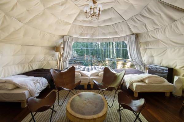 動物園×グランピングのTHE BAMBOO FORESTが大好評の「キリンと朝食オプション」を4月よりスタート！