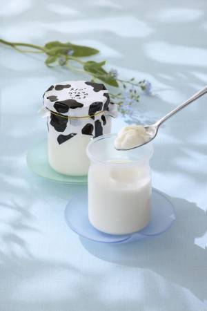 約60点以上の東武限定品に注目！！4月21日(木)から5月10日(火)まで「開店60周年記念 海明け 雪どけ ぐるめぐり 大北海道展」を開催！