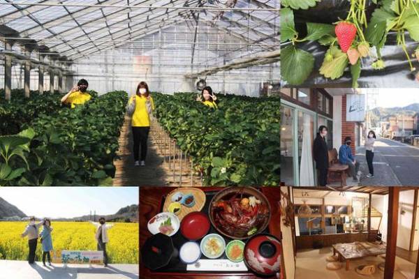 首都圏大学生のI・Uターン関心高まり？応募数80名以上、倍率約40倍！自治体の担当者も驚き「大学生限定！南伊豆町 ふるさとワーキングホリデー」