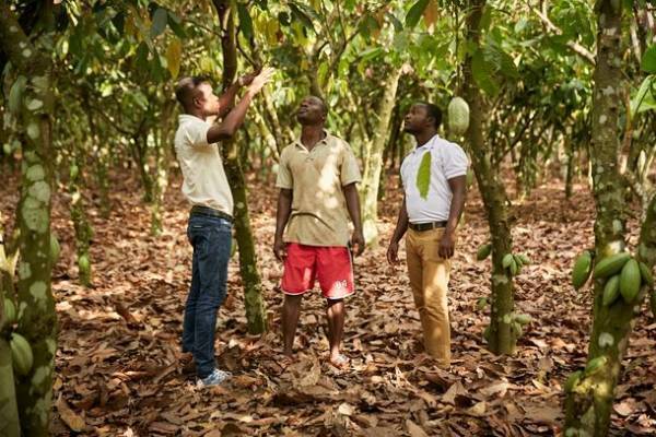 imperfectと日新化工が共同で、カカオ農家に直接還元できるプログラムを付帯したサステブルチョコレートを4月20日販売開始