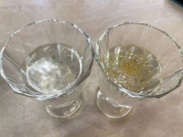 日本初のCBD体験　ホップ由来「元気★水溶性CBDの素」を使った「水溶性CBDリラクゼーションショット」を提供開始