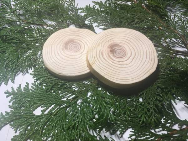 “未来に美しい山林を残したい”持続可能な新しい森林管理方法を実施するため「CAMPFIRE」にて6月15日までプロジェクト実施中