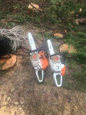 “未来に美しい山林を残したい”持続可能な新しい森林管理方法を実施するため「CAMPFIRE」にて6月15日までプロジェクト実施中