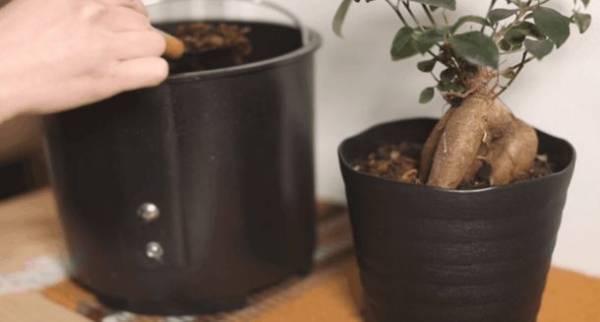 ボタンひとつで生ごみを堆肥に変える！「生ごみ処理機SUNEFUN(スンフン)」の先行販売をMakuakeにて5月30日まで実施