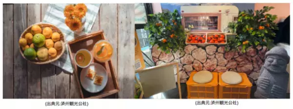 チェジュのウマイとステキが大集合！大阪コリアタウンがまるごとチェジュ島に！「JEJUマルシェ2022 in大阪コリアタウン」開催！！2022年5月3日(火)～6月5日(日)　大阪コリアタウン