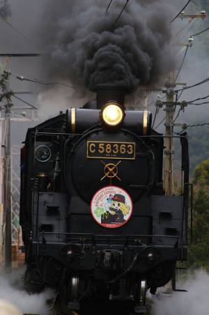 秩父鉄道が長野電鉄と「鉄道むすめ」で桜コラボ　5/8(日)運行のSLパレオエクスプレスに特別ヘッドマークを掲出、5/14(土)から記念乗車券、コラボグッズを販売