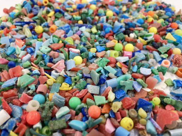 ブルーオーシャン作戦　潮干狩りの前に、みんなで「プラ干狩り」！！