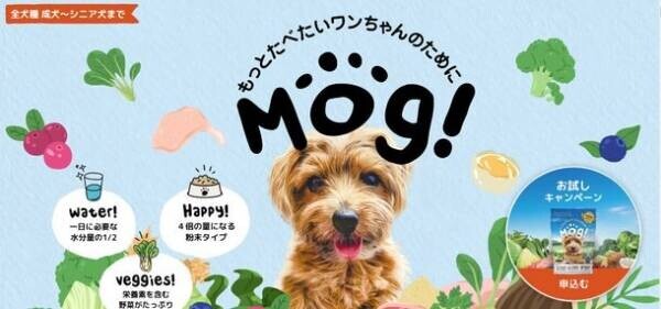 もっと食べたい！に応える愛犬満足ドッグフード「Mog!」　保護犬支援団体に利益の2割を寄付、5/23(月)新発売