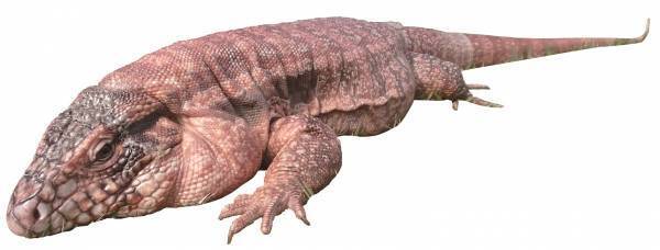 【あべのハルカス近鉄本店】GOGOゴールデンウィーク