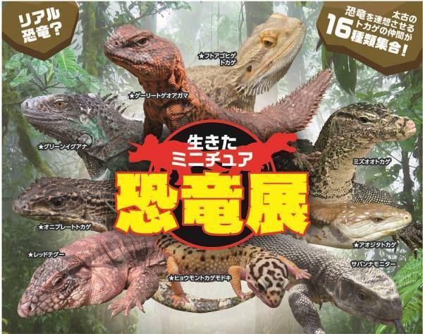 【あべのハルカス近鉄本店】GOGOゴールデンウィーク