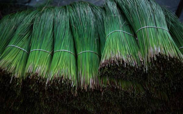 鼓動する畳『TTM-V20』完成