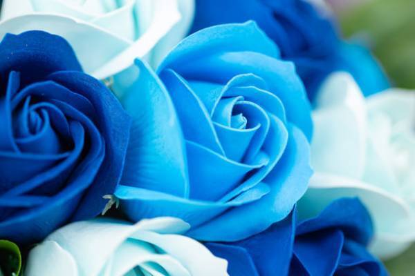 母の日ギフトとして5月6～8日に販売！シャボンフラワーブーケと宝くじをセットにした限定商品「ドリーム“シャボン”フラワー」