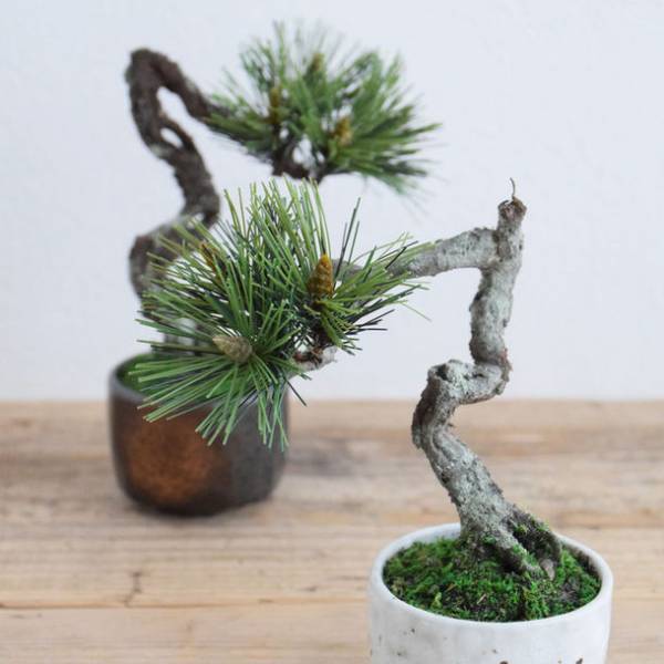 2,500人のものづくり市民によるハンドメイドの祭典　「ヨコハマハンドメイドマルシェ2022」6/4(土)5(日)開催！