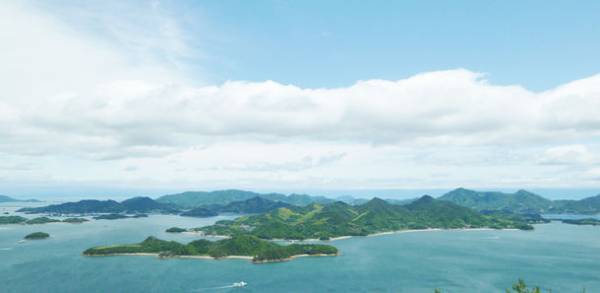 瀬戸内の甘い宝石ミニトマト『スイートルビー』が日本野菜ソムリエ協会主催「第1回全国ミニトマト選手権」で金賞受賞！