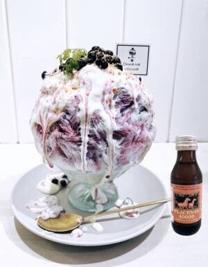 食べるほどにキレイになる“美容かき氷”を提供する「onna wa utsuwa」オープン＠奈良県東生駒