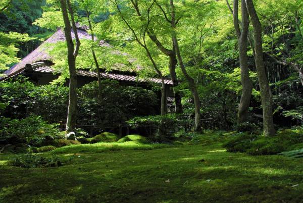 大覚寺と祇王寺拝観、レンタサイクル、「嵐電１日フリーきっぷ」をお得にセット「嵐電 大覚寺・祇王寺 サイクルチケット」 発売