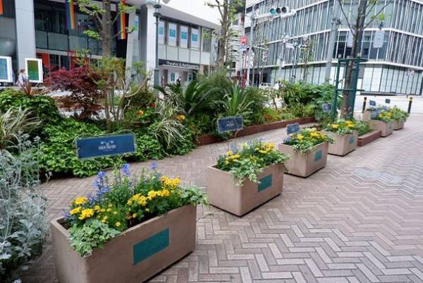 ウクライナの平和を祈って黄色の花で日本全国を埋めつくすウクライナfamilyプロジェクトスタート　第1回目は渋谷の街を黄色に彩る！