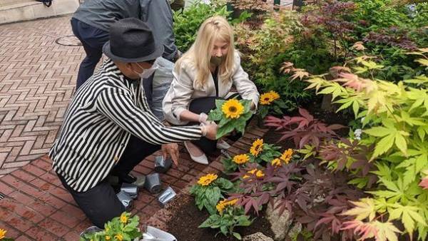 ウクライナの平和を祈って黄色の花で日本全国を埋めつくすウクライナfamilyプロジェクトスタート　第1回目は渋谷の街を黄色に彩る！