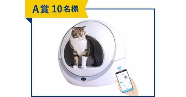 「メディファス アドバンス 2種の尿石ケア」発売に伴い、「全国統一 猫の尿石検定」キャンペーンを開催！