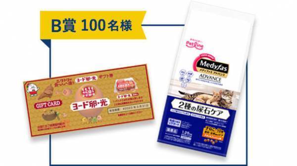 「メディファス アドバンス 2種の尿石ケア」発売に伴い、「全国統一 猫の尿石検定」キャンペーンを開催！