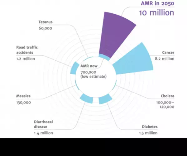 犬猫の感染症へ、新しい感染症治療法であるファージセラピーを実用化するための研究の費用を集めるクラウドファンディングを4月25日より開始