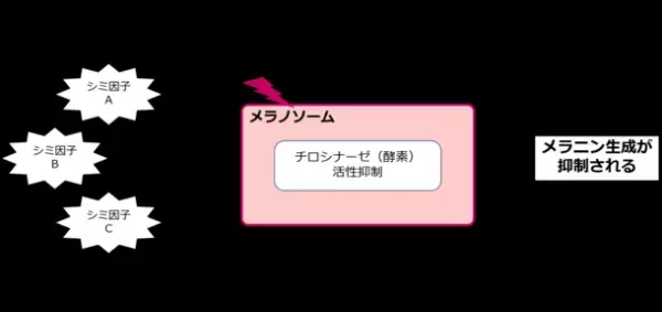 失われゆく高機能植物『紅タデ』で化粧品を開発。生産者支援のクラウドファンディングで130％達成！