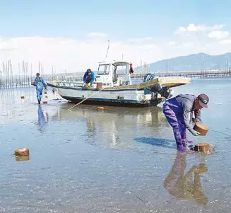 近鉄百貨店のお中元ネットショップ５月６日（金）、店頭受注５月18日（水）よりスタート