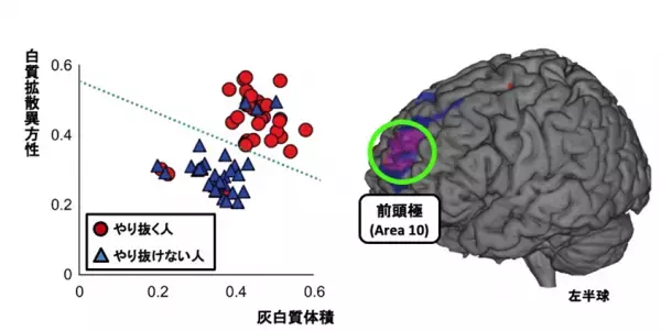 英語学習をやり抜く脳はスモールステップによる達成感で育つ
