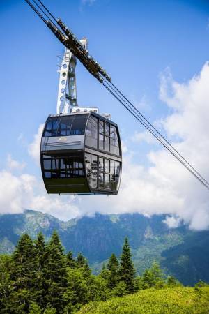 飛騨高山発　定期観光バス　北アルプス2大パノラマ「新穂高・上高地」「乗鞍・上高地」の運行を開始