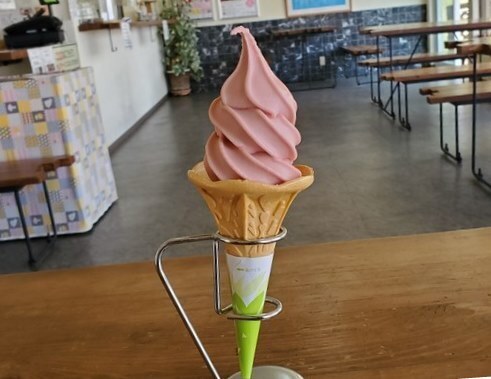 比叡山ドライブウェイ×ロテルド比叡共催さくらと青もみじが美しい春の比叡山でGWスペシャル企画を開催