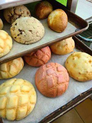 比叡山ドライブウェイ×ロテルド比叡共催さくらと青もみじが美しい春の比叡山でGWスペシャル企画を開催