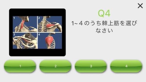 ポケットに入れて持ち運べるデジタル人体模型　業界初のAIを搭載した機能解剖の学習アプリ「ポケ模型」導入