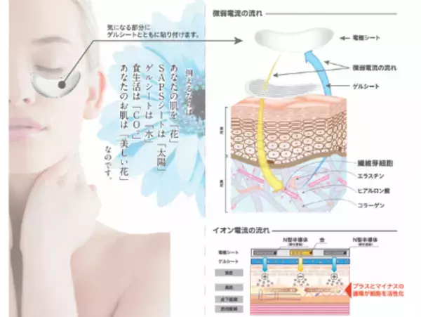 美容成分をたっぷり配合したアイ用(目元)パック「LUSTED'OR-ラステドール」が≪ヨドバシ.com≫で販売開始！サロン専売品、特許技術を活用