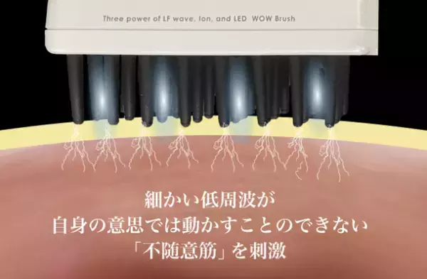 マスク老け対策の救世主！「WOW Brush(ワオブラシ)」の販売強化を実施　