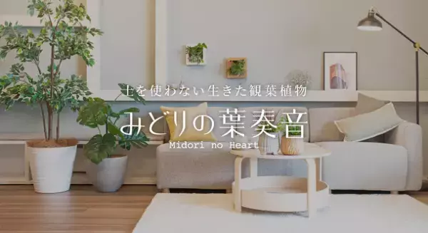 土を使わない生きた観葉植物専門店「みどりの葉奏音(ハート)」　小田急百貨店新宿店にて5/11よりポップアップストアを開催