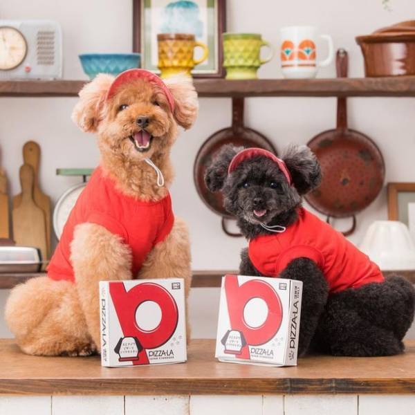愛犬にもピザーラお届け！犬用ピザ「コミフデリ　ピザーラテリヤキチキン」がPIZZA-LA店舗にて宅配開始