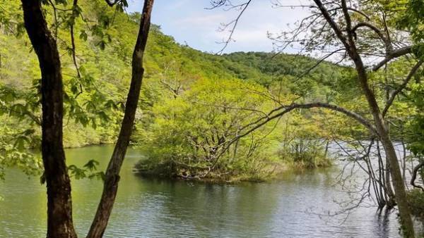 大規模風力発電・メガソーラー問題に取り組む宮城・青森の団体が集まり　2022年5月22日(日)13時～　シンポジウム「東北の山の今と未来を考える」を開催　再エネにより豊かな森林や地域の生活が脅かされていることを知ってください