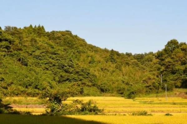 大規模風力発電・メガソーラー問題に取り組む宮城・青森の団体が集まり　2022年5月22日(日)13時～　シンポジウム「東北の山の今と未来を考える」を開催　再エネにより豊かな森林や地域の生活が脅かされていることを知ってください