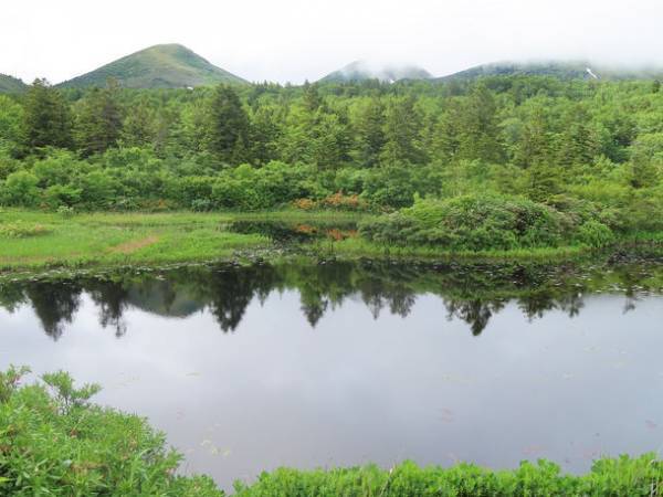 大規模風力発電・メガソーラー問題に取り組む宮城・青森の団体が集まり　2022年5月22日(日)13時～　シンポジウム「東北の山の今と未来を考える」を開催　再エネにより豊かな森林や地域の生活が脅かされていることを知ってください