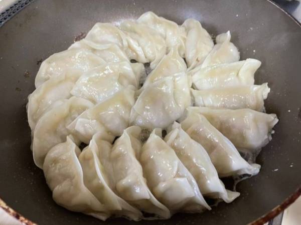 SDGsでさらに注目が高まるヴィーガン食材　肉なしヘルシーな植物性の腸活餃子が5月1日より発売開始