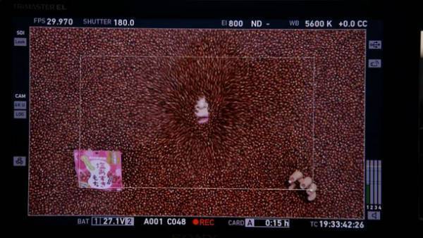 UHA味覚糖『塩あずきもち』新CM　美容男子Mattさんが、あずきまみれに！合成なし！リアルにハマって演技に挑戦！