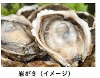 ～ 志摩市×近鉄 しまの旬の食と鉄道の旅応援事業 第２弾 ～志摩の旬の食材を満喫できる旅行商品を割引して販売します！