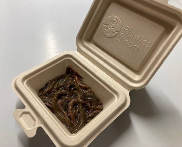 CO2排出量約81％ダウン　「さとうきびの搾りかす」の植物由来100％原料を使用した「ベイトバガスパック」を釣り具業界初「虫エサ容器」に採用