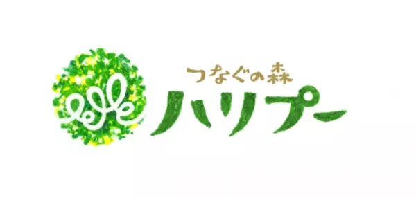 愛知県・一宮市に国産天然木でつくる屋内の木の遊び場「つなぐの森 ハリプー」8月11日グランドオープン　～おとなもこどもも、五感を使って遊ぶ場所～