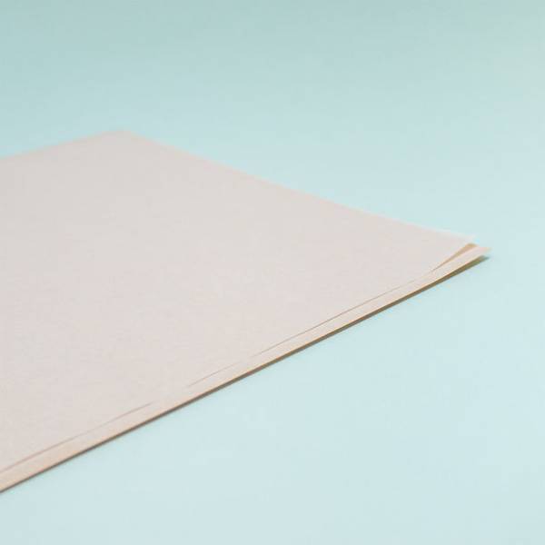 脱プラをサポートする紙製クリアファイル「グラスファイル」の新しいバリエーションを5月17日(火)に発売