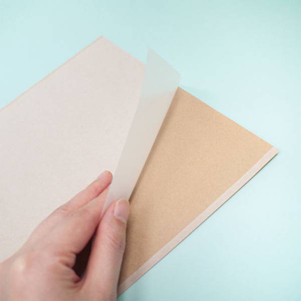 脱プラをサポートする紙製クリアファイル「グラスファイル」の新しいバリエーションを5月17日(火)に発売