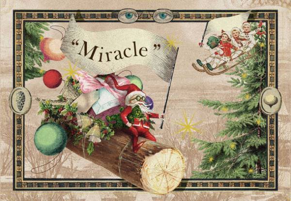 植物発電「botanical light(ボタニカルライト)」　5月25日より世田谷区三宿ショールームで展示開始！