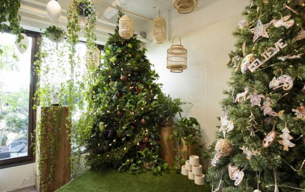 植物発電「botanical light(ボタニカルライト)」　5月25日より世田谷区三宿ショールームで展示開始！