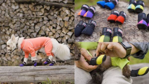 犬専門ブランド「WANDAWAY」、日本最大級の遊びの祭典「フィールドスタイル　シーサイドマーケット2022」に初出店